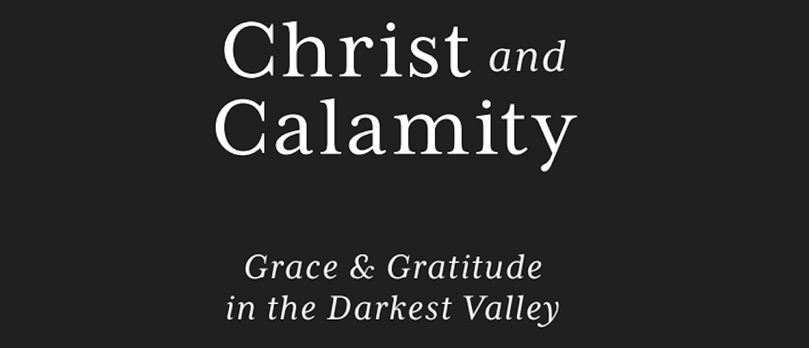 Book Review: Christ and Calamity by Harold L. Senkbeil | The North ...